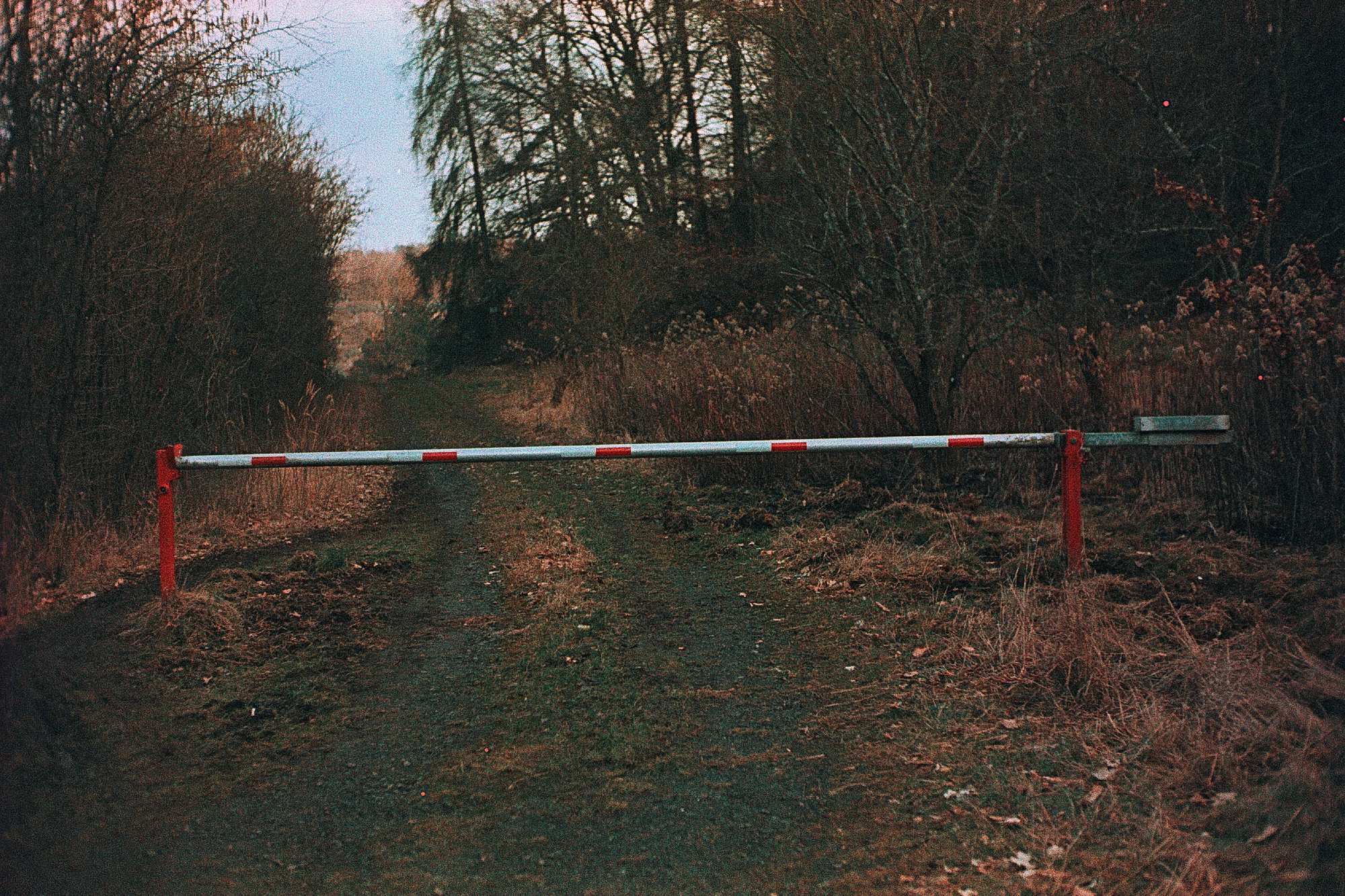 Agfa Precisa gecrosst